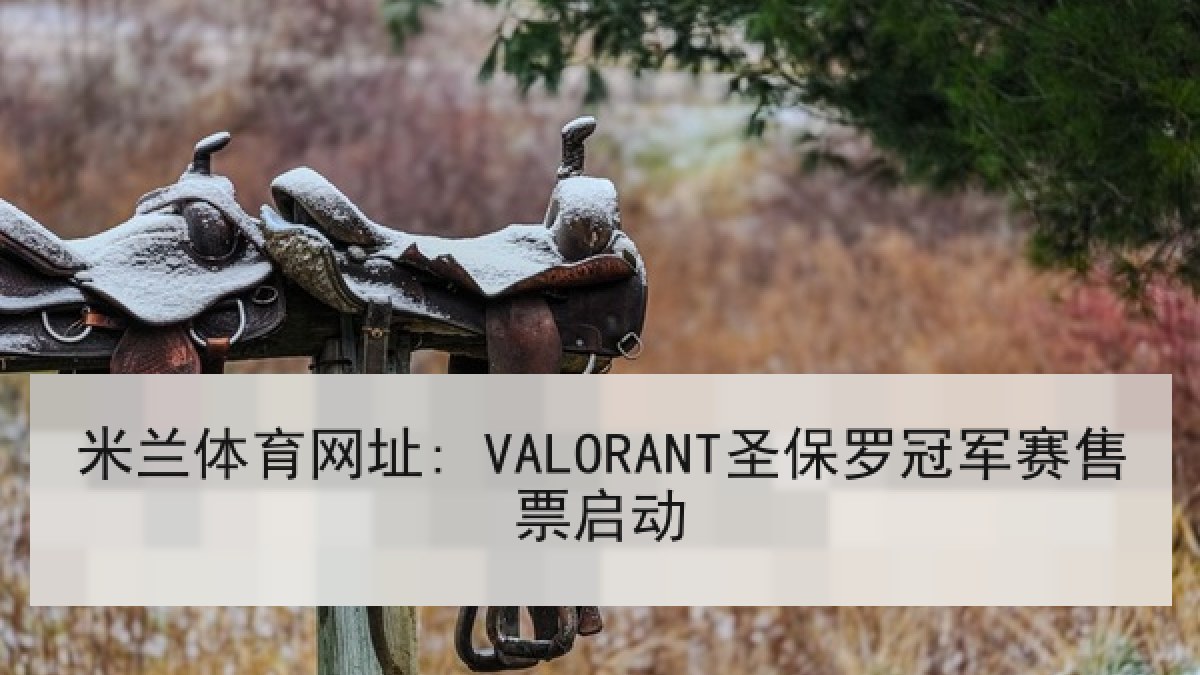 米兰体育网址: VALORANT圣保罗冠军赛售票启动