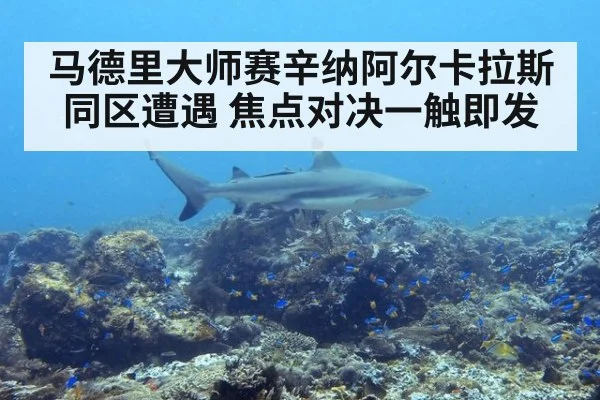 马德里大师赛辛纳阿尔卡拉斯同区遭遇 焦点对决一触即发